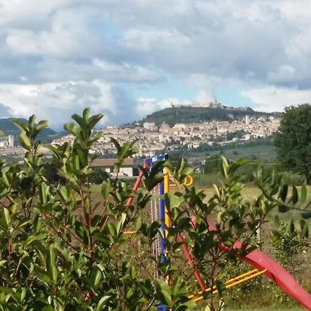 אסיסי B&B La Gioiosa מראה חיצוני תמונה