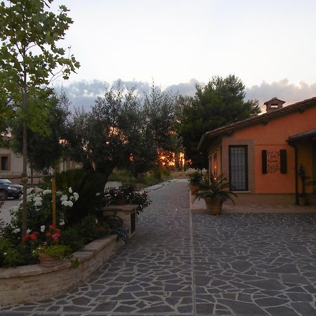 אסיסי B&B La Gioiosa מראה חיצוני תמונה