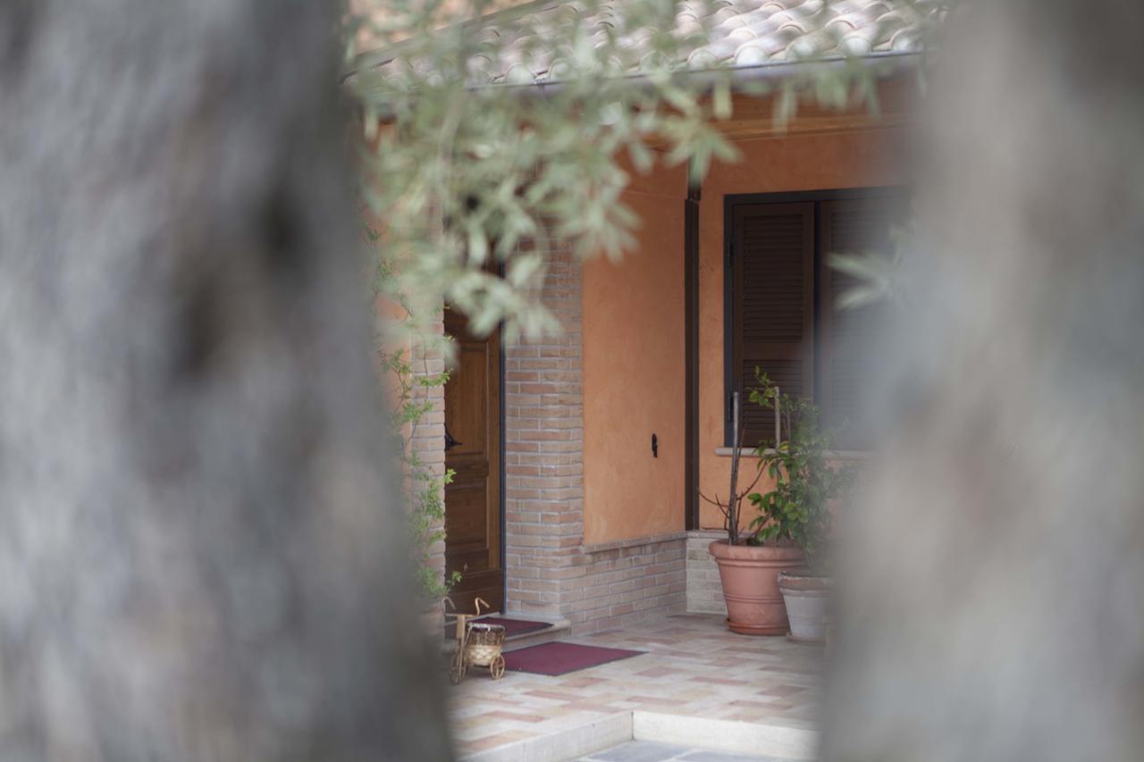 אסיסי B&B La Gioiosa מראה חיצוני תמונה